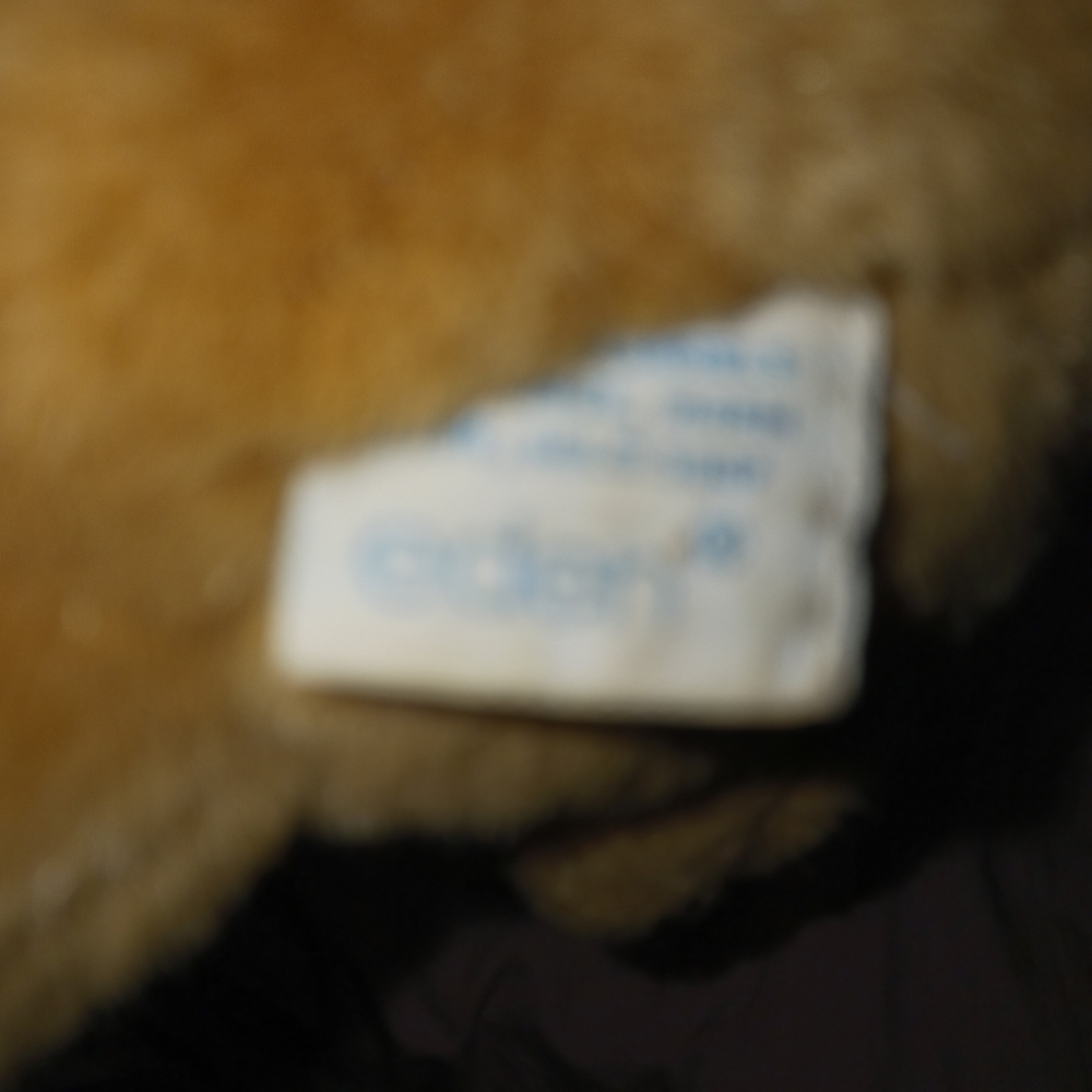 Peter Rabbit - Picture 4 of 4